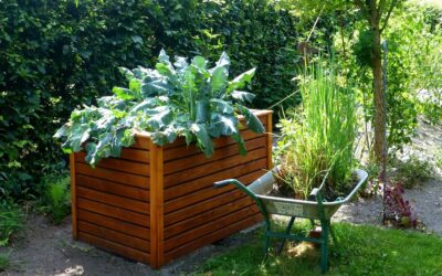 Hochbeet für Senioren – Rückenschonend gärtnern ohne Bücken